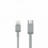 USB C to  iPhone Lightning