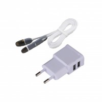 2-in-1 Cable with 220V USB Plug